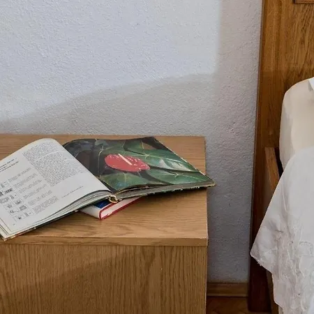 Ivi Bol